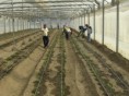 /album/fotogaleria/vacaciones-2009-064-jpg/
